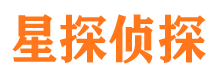 六合市侦探公司